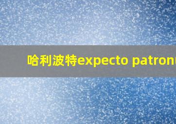 哈利波特expecto patronum